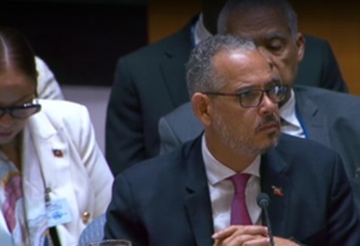 Ve urgente combatir bandas en Haití con efectivos entrenados