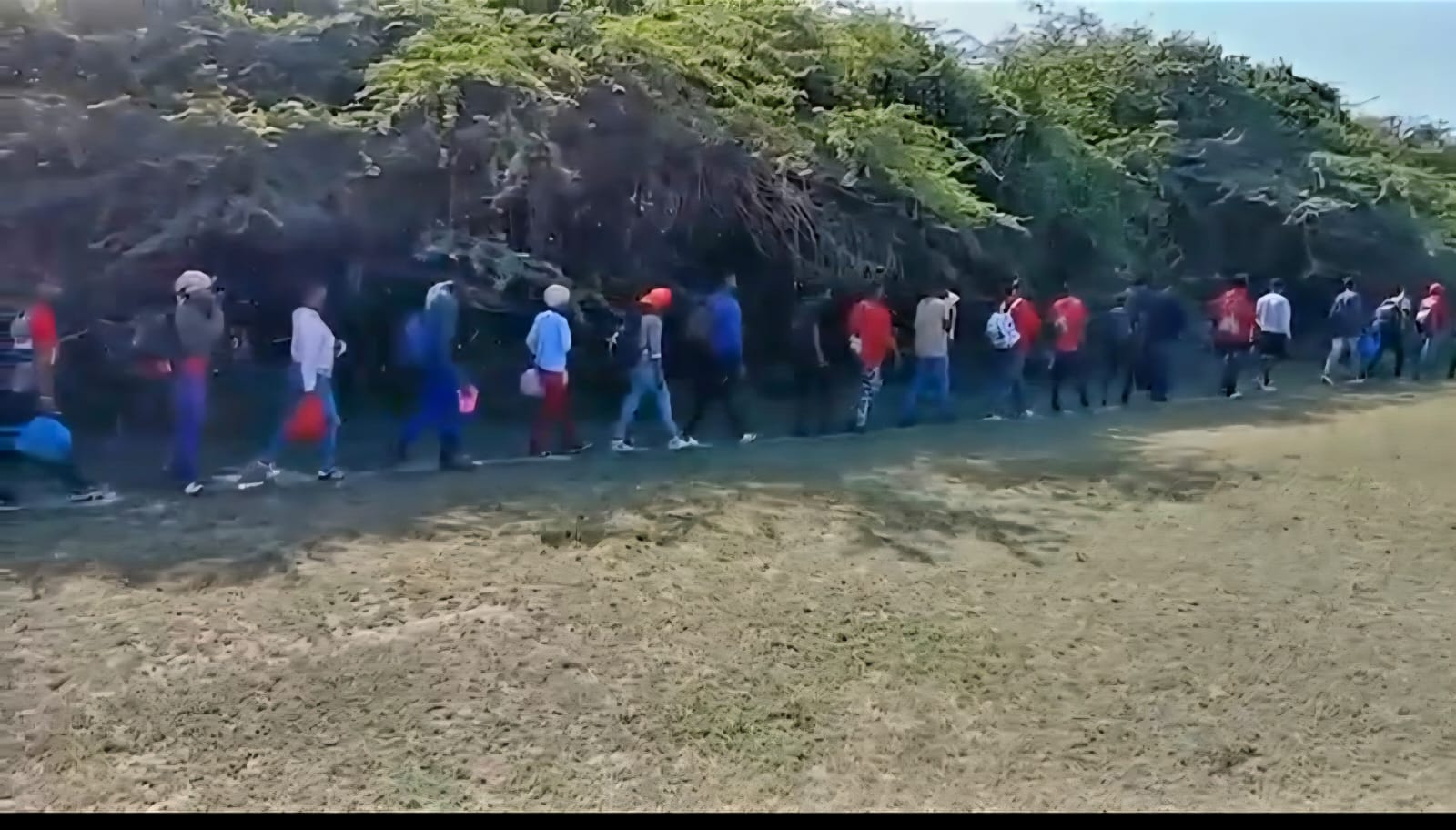 RD deportó 196,321 haitianos indocumentados en enero-junio imagen