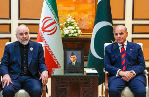 Negociador iraní: EU «no pudo ganarse confianza» de Teherán