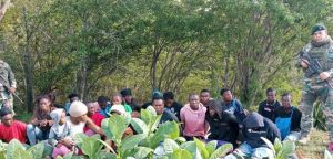 Ejército detiene 23 haitianos en la zona boscosa de Dajabón