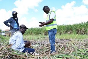 R. Dominicana ejecuta ofensiva para erradicar trabajo infantil