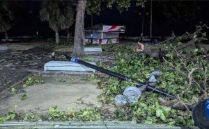 Ventarrón derriba árboles y postes tendido eléctrico en SD