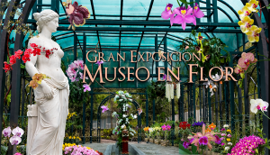 Anuncian Feria de Orquídeas del Cibao del 23 al 26 de abril