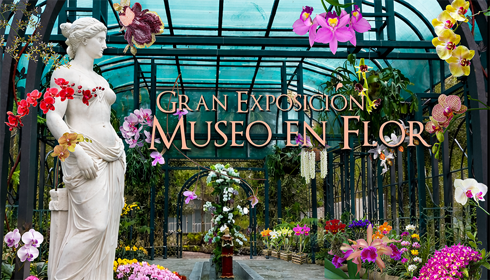 Anuncian Feria de Orquídeas del Cibao del 23 al 26 de abril imagen