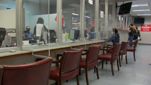 Cancelaciones de empleados en el Consulado RD en Nueva York