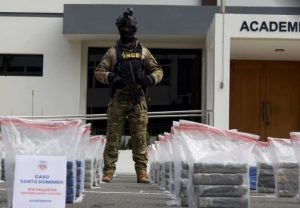 DNCD dice decomisó 914 kilos de drogas en últimos 30 días