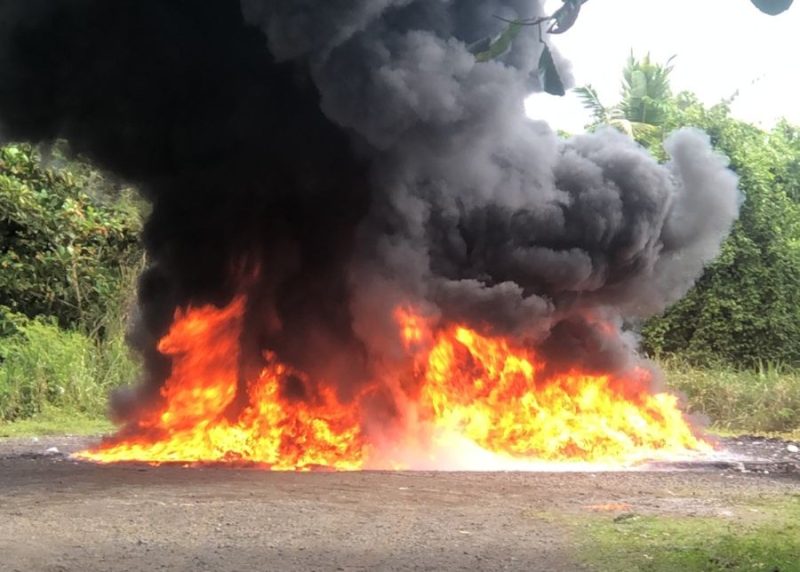 El Inacif destruye más de dos toneladas de drogas en SD imagen