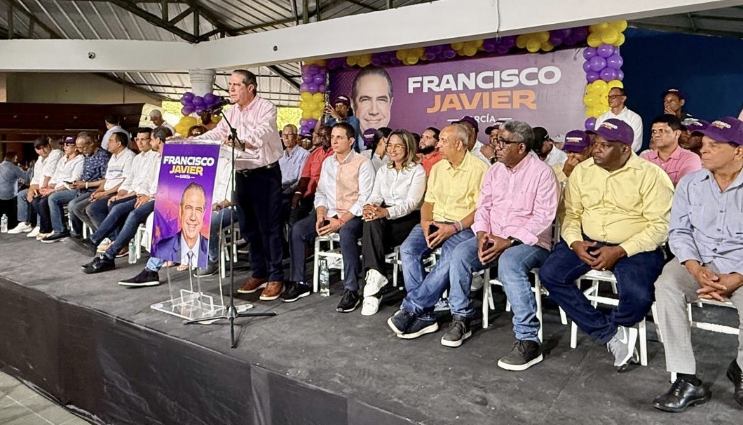 Dice para vencer a PRM, el PLD necesitará “jinete pura sangre”
