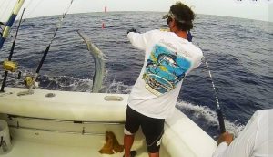 Torneo Internacional al Marlin Blanco en Cabeza de Toro
