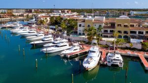 Infante acapara honores “White Marlin Tournament” Cap Cana