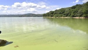 Inconcluso diagnóstico sobre contaminación presa de Hatillo