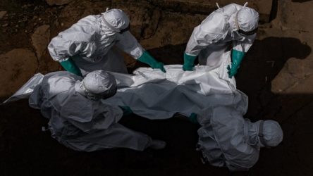 AFRICA: Brote de ébola deja ya 43 muertos y más de 263 casos AFRICA: Brote de ébola deja ya 43 muertos y más de 263 casos