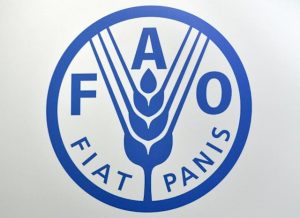 FAO certifica cierre de Ormuz puede desencadenar en crisis