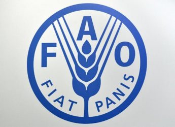 FAO certifica cierre de Ormuz puede desencadenar en crisis
