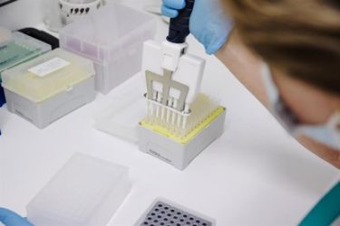 Director OMS descarta brote hantavirus sea otro Covid-19