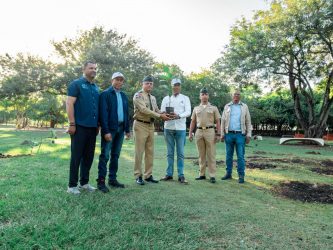 Fuerzas Armadas RD liderarán siembra más de 100,000 árboles