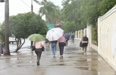 Aguaceros dispersos, tronadas  y mucho calor este domingo