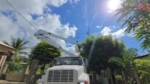 EDENORTE fortalece sistema eléctrico en Sánchez y Samaná