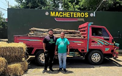 VALVERDE: ERD detiene camión transporta 125 postes cambrón