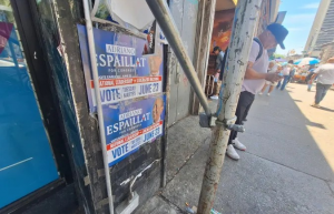 Primarias miden el futuro del Partido Demócrata en NY Primarias miden el futuro del Partido Demócrata en NY