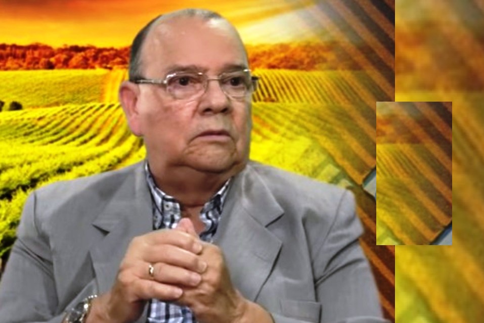 Culpa al Gobierno del alza de los precios de alimentos en RD imagen