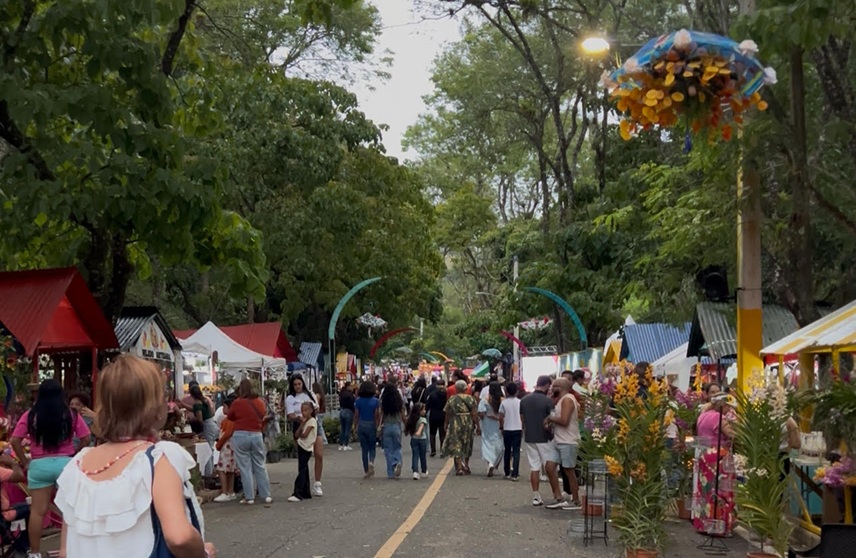 Miles asisten al XV Festival de las Flores, en ciudad Jaraba