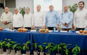 El cacao dominicano cumplirá nuevos requisitos calidad de UE