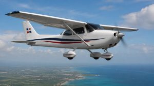 SAN VICENTE: Hallan avión RD desaparecido y tripulantes vivos