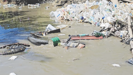 RD reducirá 43% contaminación que llega al río Yaque Norte
