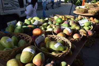 Ministro destaca crecimiento de las exportaciones de mango