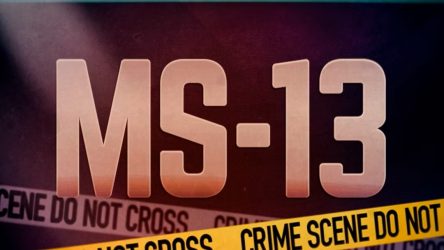 HONDURAS: EEUU ofrece US$10 millones por el cabecilla MS-13