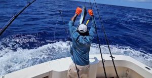 Rafael Brenes libera el primer marlin azul en torneo de pesca Rafael Brenes libera el primer marlin azul en torneo de pesca