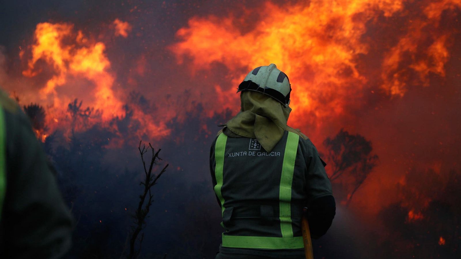 PORTUGAL: Incendio de Vouzela ha quemado 15.000 hectáreas imagen