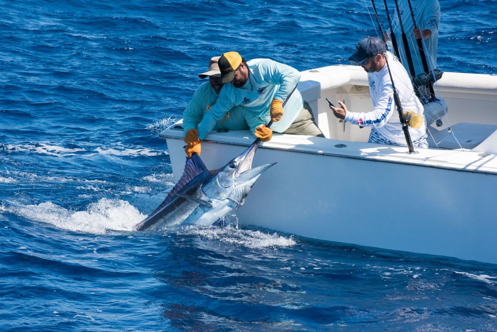 Pescadores PR y RD competirán en Torneo Pesca al Marlin Azul imagen