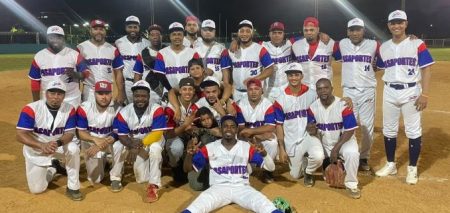 Banreservas, Pasaportes y Dintel lideran Softbol Gubernamental