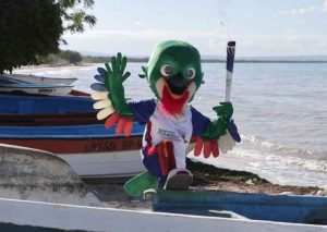 Del bosque al Centro Olímpico en Dominicana: El vuelo de Colí Del bosque al Centro Olímpico en Dominicana: El vuelo de Colí