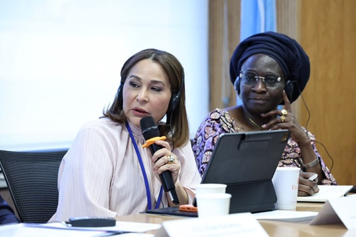 NY: Supérate expone en ONU avances RD en protección social imagen