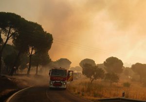 ESPAÑA: Dicen está controlado incendio entre Madrid y Ávila ESPAÑA: Dicen está controlado incendio entre Madrid y Ávila
