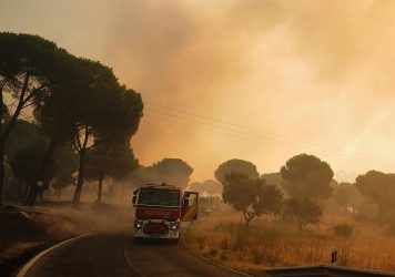 ESPAÑA: Dicen está controlado incendio entre Madrid y Ávila ESPAÑA: Dicen está controlado incendio entre Madrid y Ávila