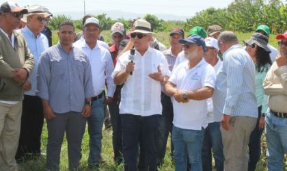 Agricultura elimina los cultivos hospederos de la mosca blanca Agricultura elimina los cultivos hospederos de la mosca blanca