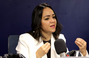 Faride Raful dice que acatará fallo TC sobre venta de alcohol