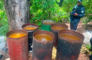 AZUA: Desmantelan fábrica clandestina alcohol adulterado