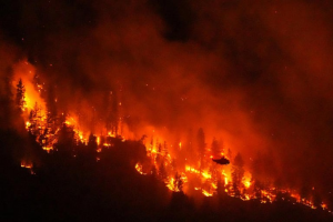 Donald Trump culpa a Canadá de los incendios forestales