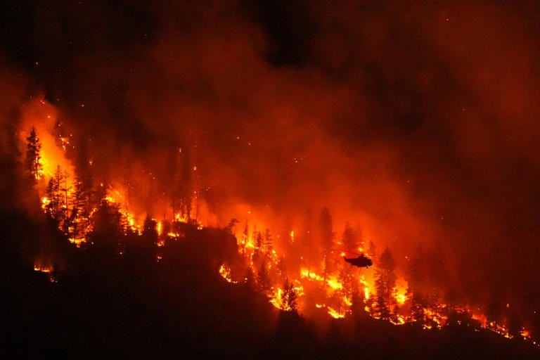 Donald Trump culpa a Canadá de los incendios forestales