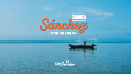 Sánchez será sede del festival gastronómico Saborea Paraíso Sánchez será sede del festival gastronómico Saborea Paraíso
