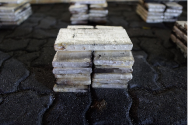 DNCD incauta 303 paquetes de presunta cocaína en Caucedo