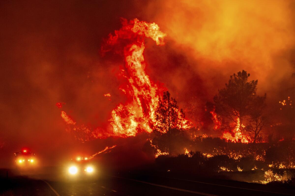 Miles de evacuados y viviendas destruidas por incendios en EU imagen