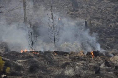 Brigadas luchan contra fuego en el Parque Nacional Valle Nuevo Brigadas luchan contra fuego en el Parque Nacional Valle Nuevo