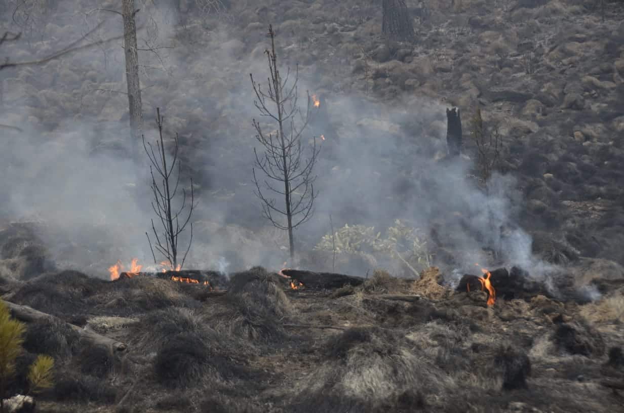 Brigadas luchan contra fuego en el Parque Nacional Valle Nuevo