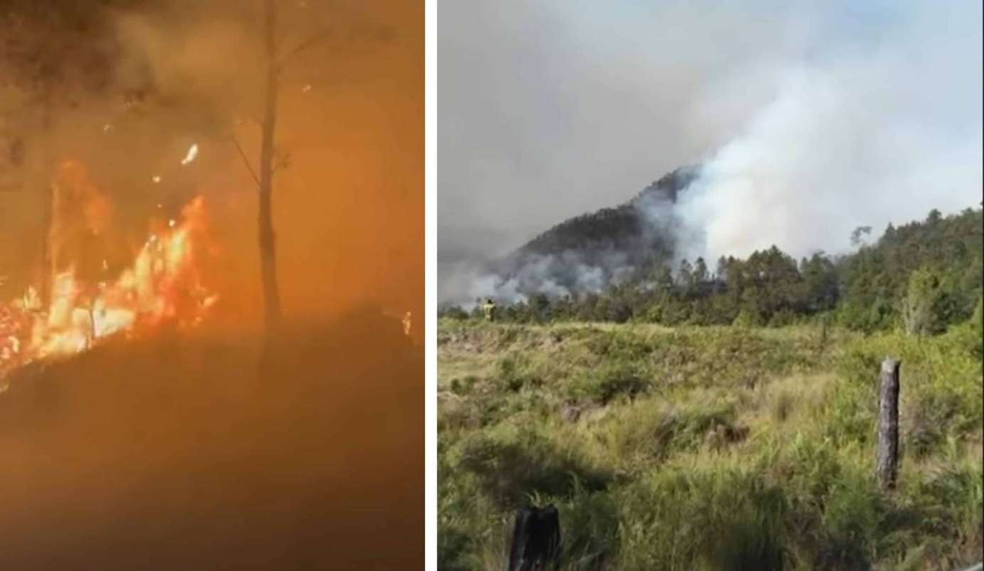 Brigadas luchan contra fuego en el Parque Nacional Valle Nuevo